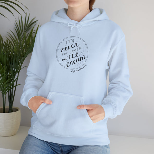 Never Too Cold for Ice Cream Hoodie