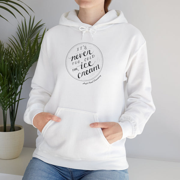 Never Too Cold for Ice Cream Hoodie