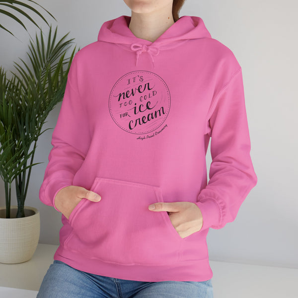 Never Too Cold for Ice Cream Hoodie