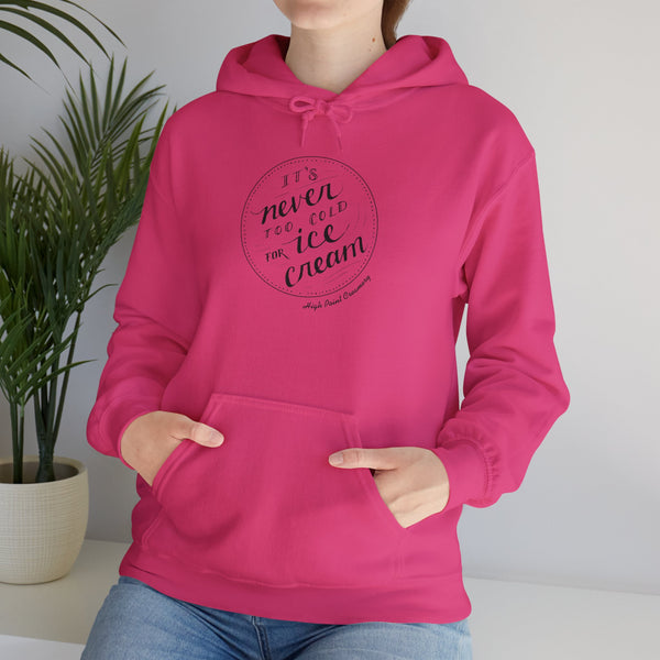 Never Too Cold for Ice Cream Hoodie