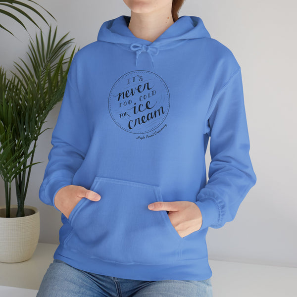 Never Too Cold for Ice Cream Hoodie